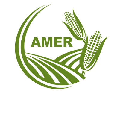 AMER